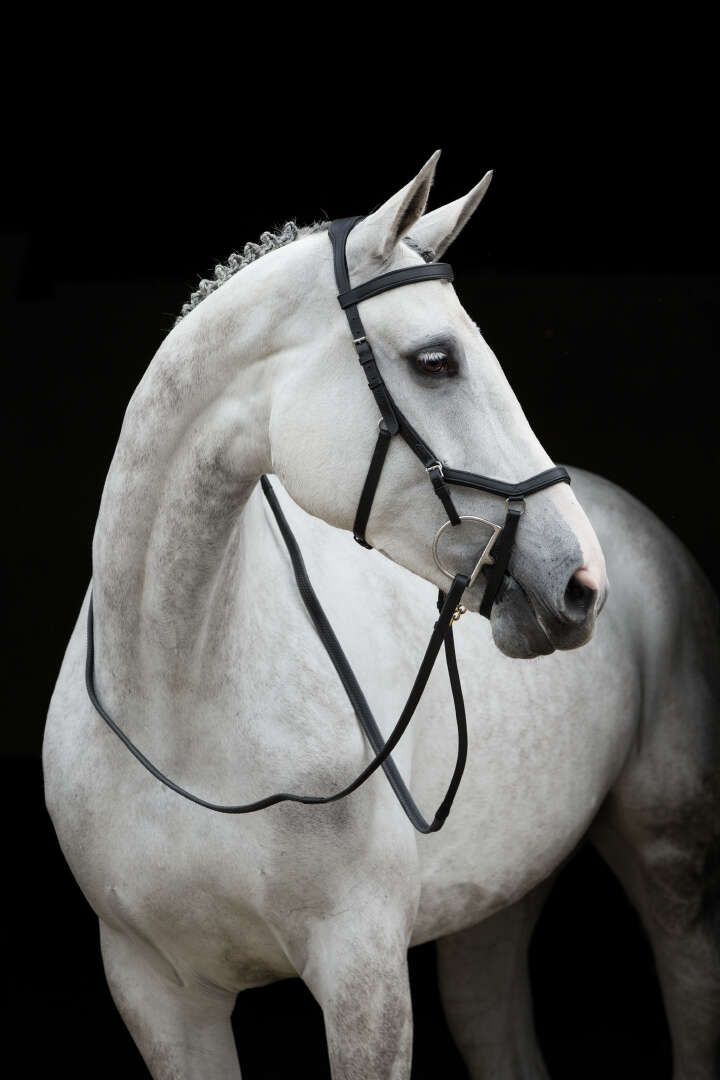 Horseware RAMBO Micklem Compet. Bridle, black Horseware RAMBO Micklem Compet. Bridle, black